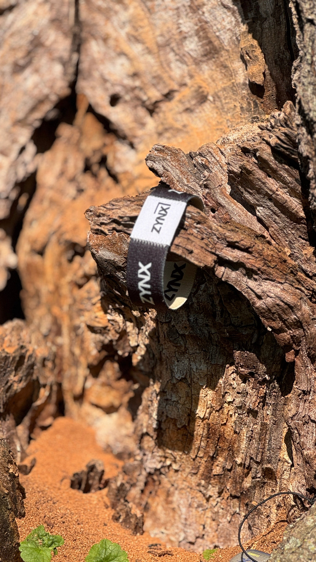 NFC wristband (Preorder available)