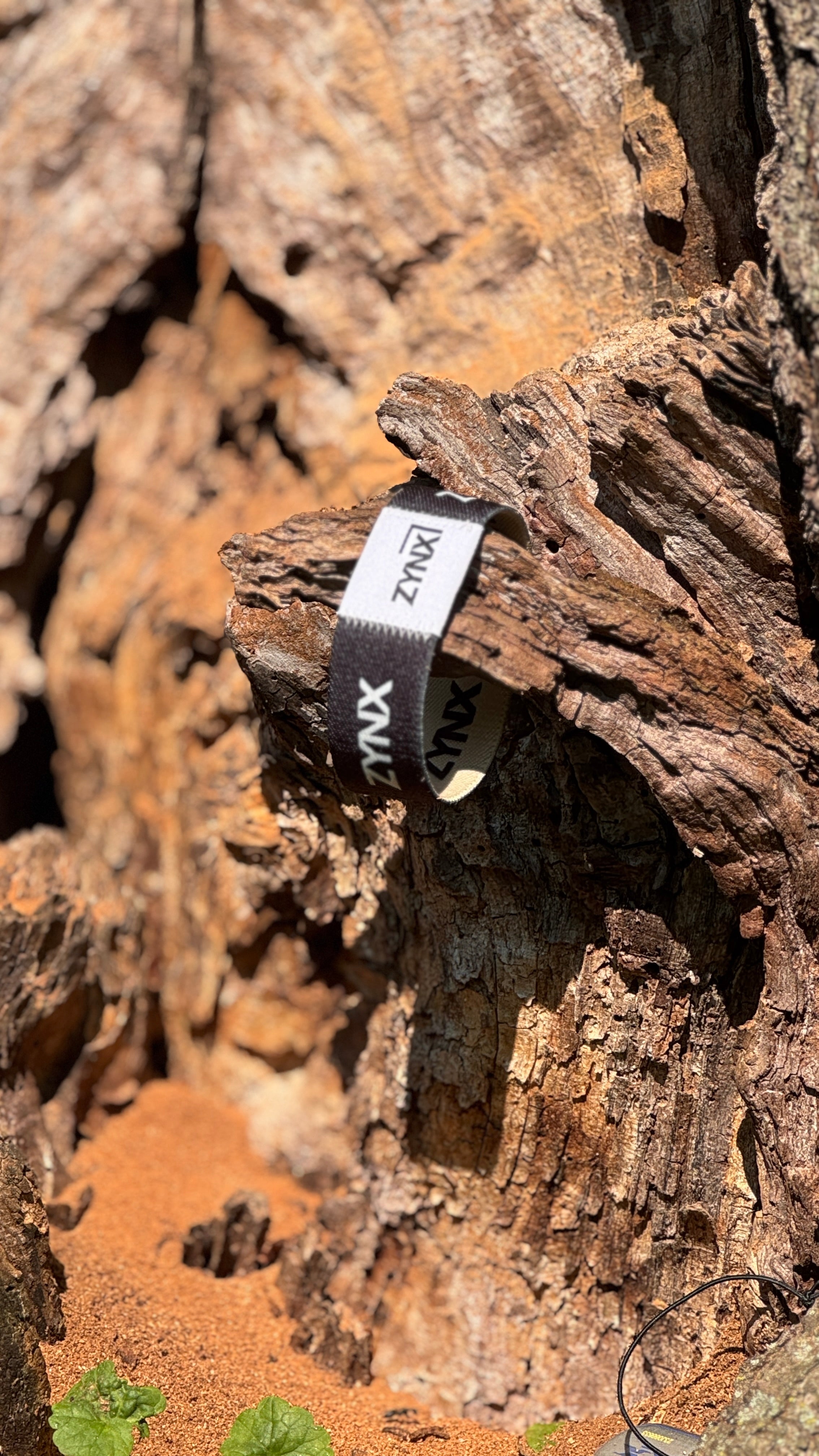 NFC wristband (Preorder available)