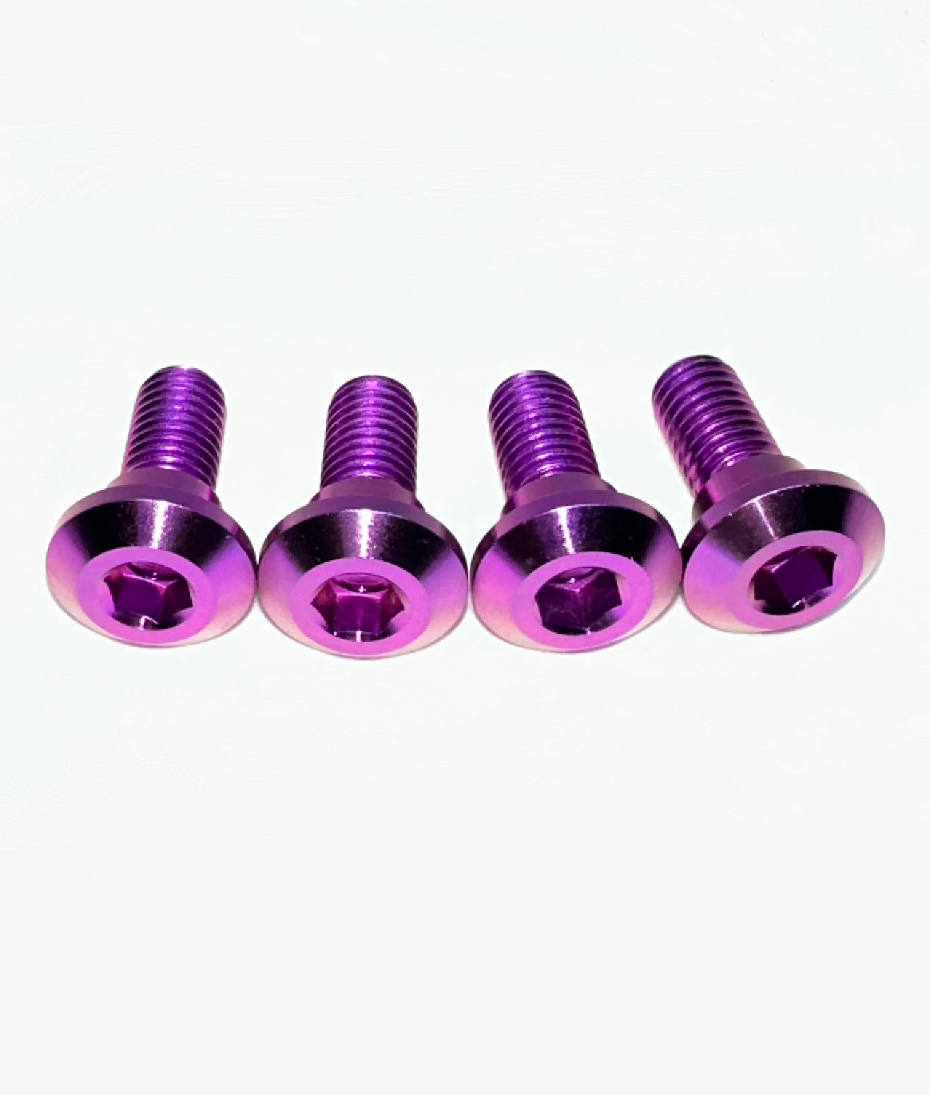YOZMA IN-10 / VALTINSU
EM-5 TITANIUM BRAKE ROTOR BOLTS FULL SET (Qty 8)