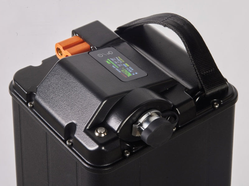 81.4V 45AH Surron Light Bee Battery