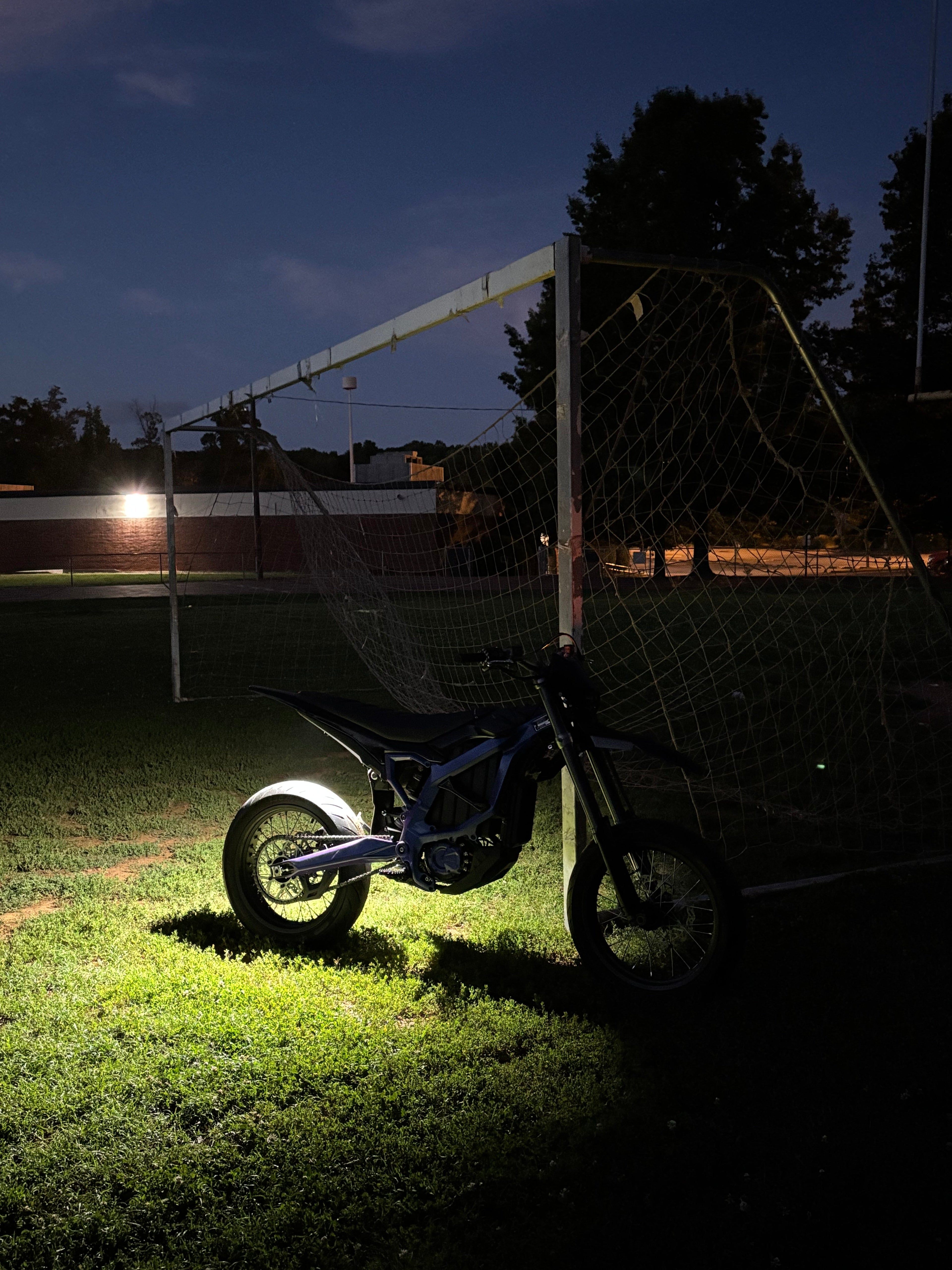 Plug &amp; Play Ultra Bee Rock Light